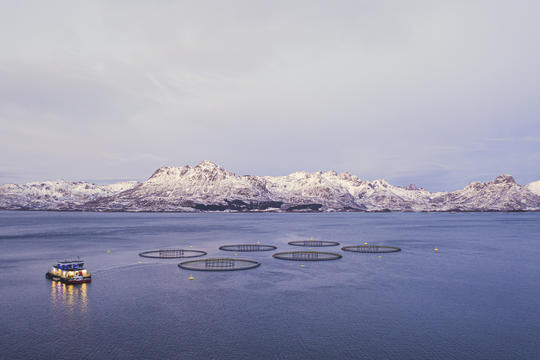 Eidsfjord Sjøfarm